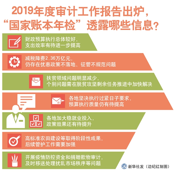 2019年度审计工作报告出炉“国家账本年检”透露哪些信息？